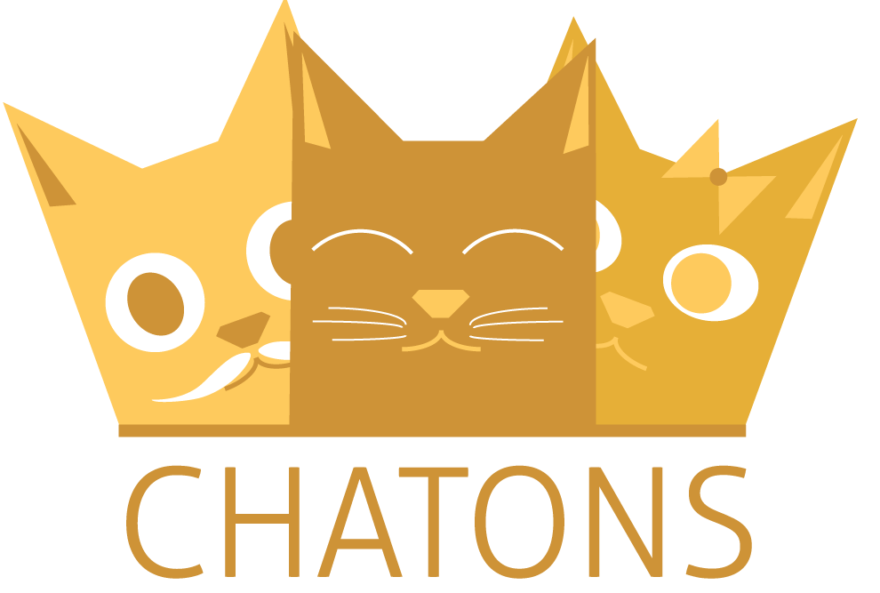 EN D COUVRIR PLUS ZOURIT NET visual data 3